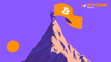 bitcoin-advocacy-group-illuminates-ecb,-eurotower,-encouraging-adoption-and-education