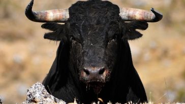 credit-suisse,-deutsche-bank-backed-taurus-deploys-on-polygon-blockchain