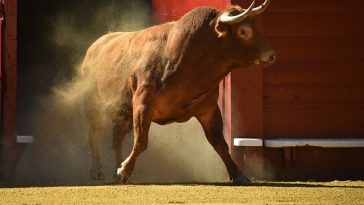 bitcoin-price-outlook:-technical-breakout-suggests-btc-rally-to-$34k