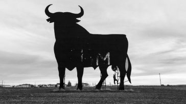 bitcoin-futures-attract-biggest-bets-since-terra’s-collapse