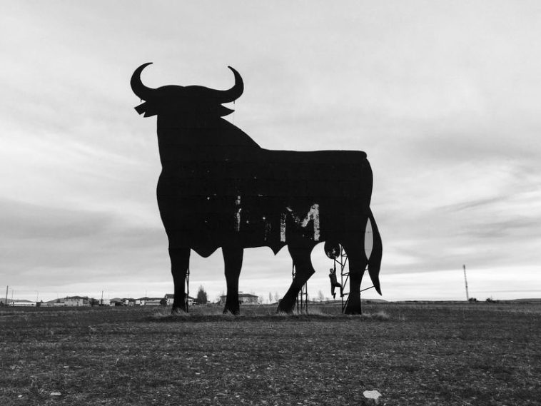 bitcoin-futures-attract-biggest-bets-since-terra’s-collapse